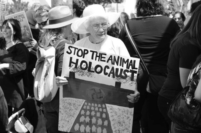 Photo 2 Coby’s family hid Jews in Amsterdam during WWII (photo Kyle Justin DiFulvio)